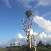 Review photo of Flamingo Campground — Everglades National Park by SwitchbackKids , June 29, 2017