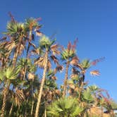 Review photo of Flamingo Campground — Everglades National Park by SwitchbackKids , June 29, 2017