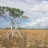 Review photo of Flamingo Campground — Everglades National Park by SwitchbackKids , June 29, 2017
