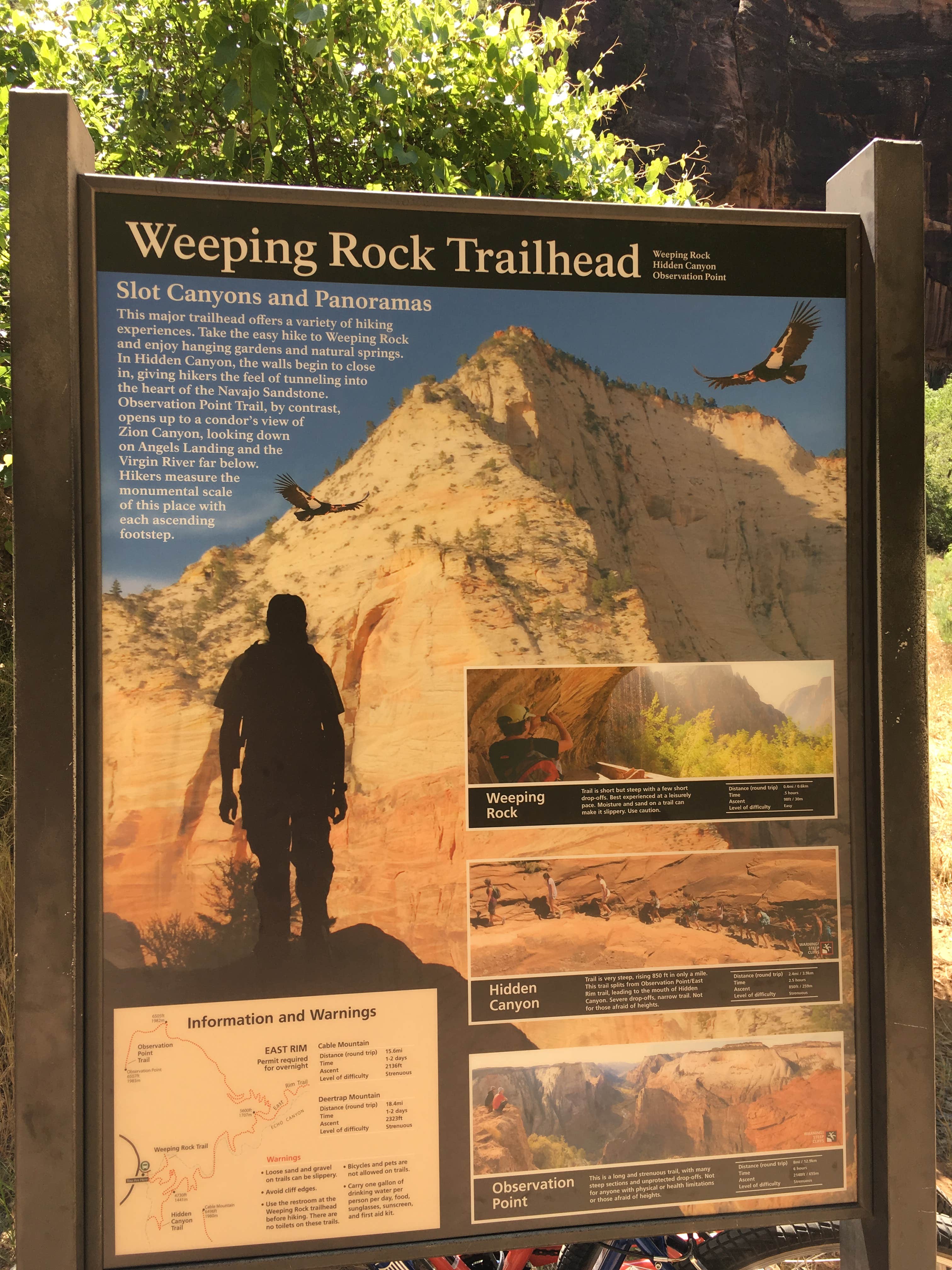 Camper submitted image from South Campground — Zion National Park - 5