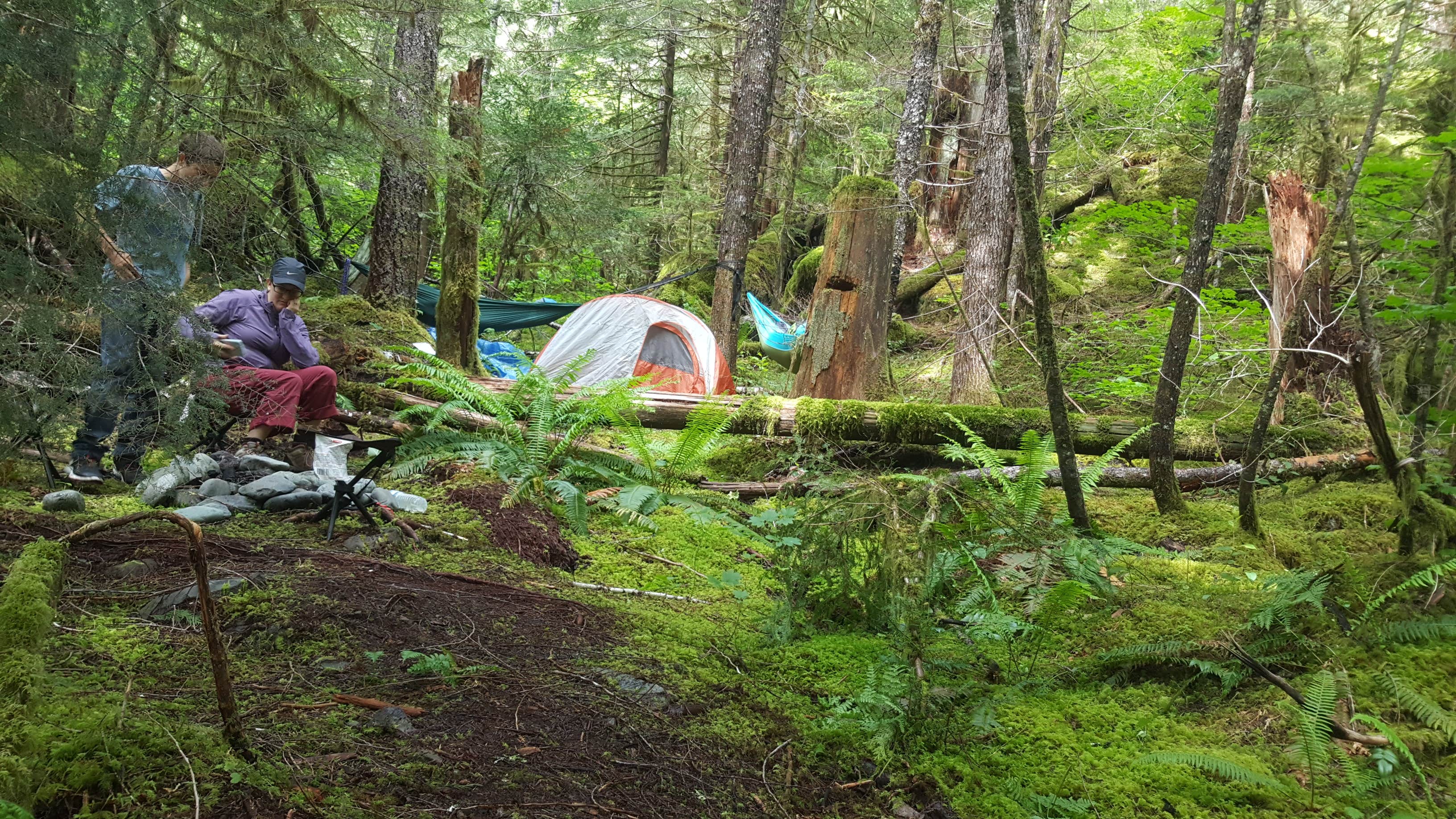 Nichole L.'s photo at Opal Pool Campsites near Gates, OR