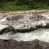 Review photo of Tillamook State Forest Nehalem Falls Campground by Nichole L., June 29, 2017