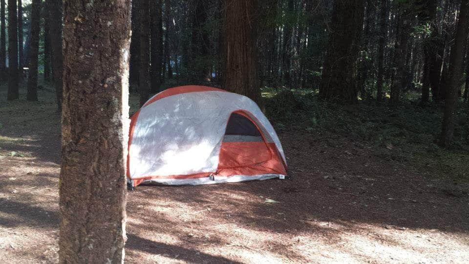 Nichole L.'s photo at Toketee Lake Campground — Umpqua National Forest near North Umpqua River Recreation Area