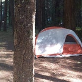 Review photo of Toketee Lake Campground by Nichole L., June 29, 2017