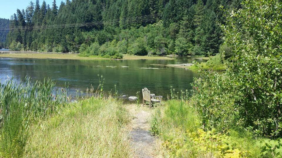 Camper submitted image from Toketee Lake Campground — Umpqua National Forest - 3