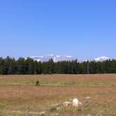 Review photo of Circle Park Campground by Annie C., June 29, 2017