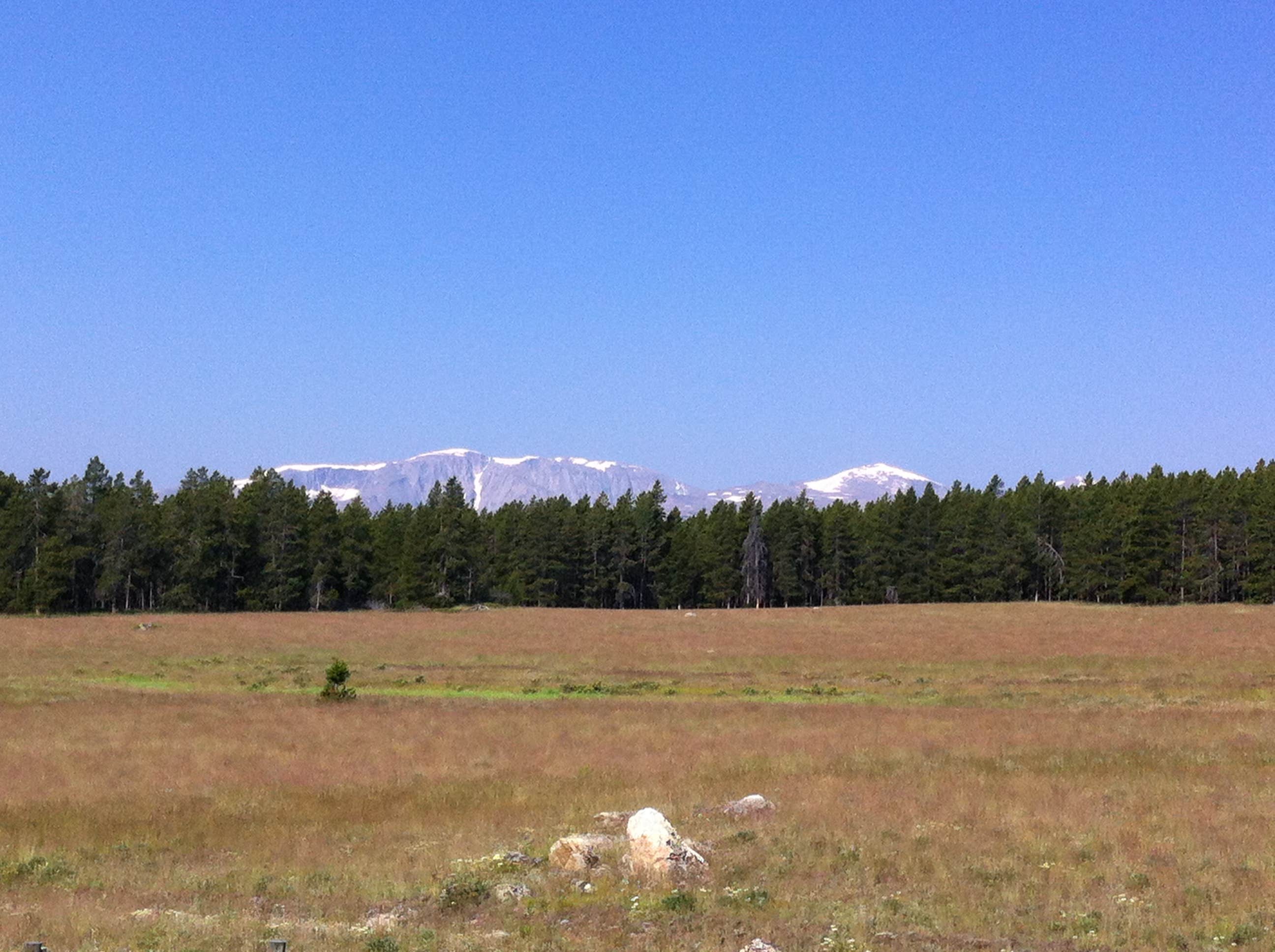 Camper submitted image from Circle Park Campground - 1