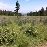 Review photo of Circle Park Campground by Annie C., June 29, 2017