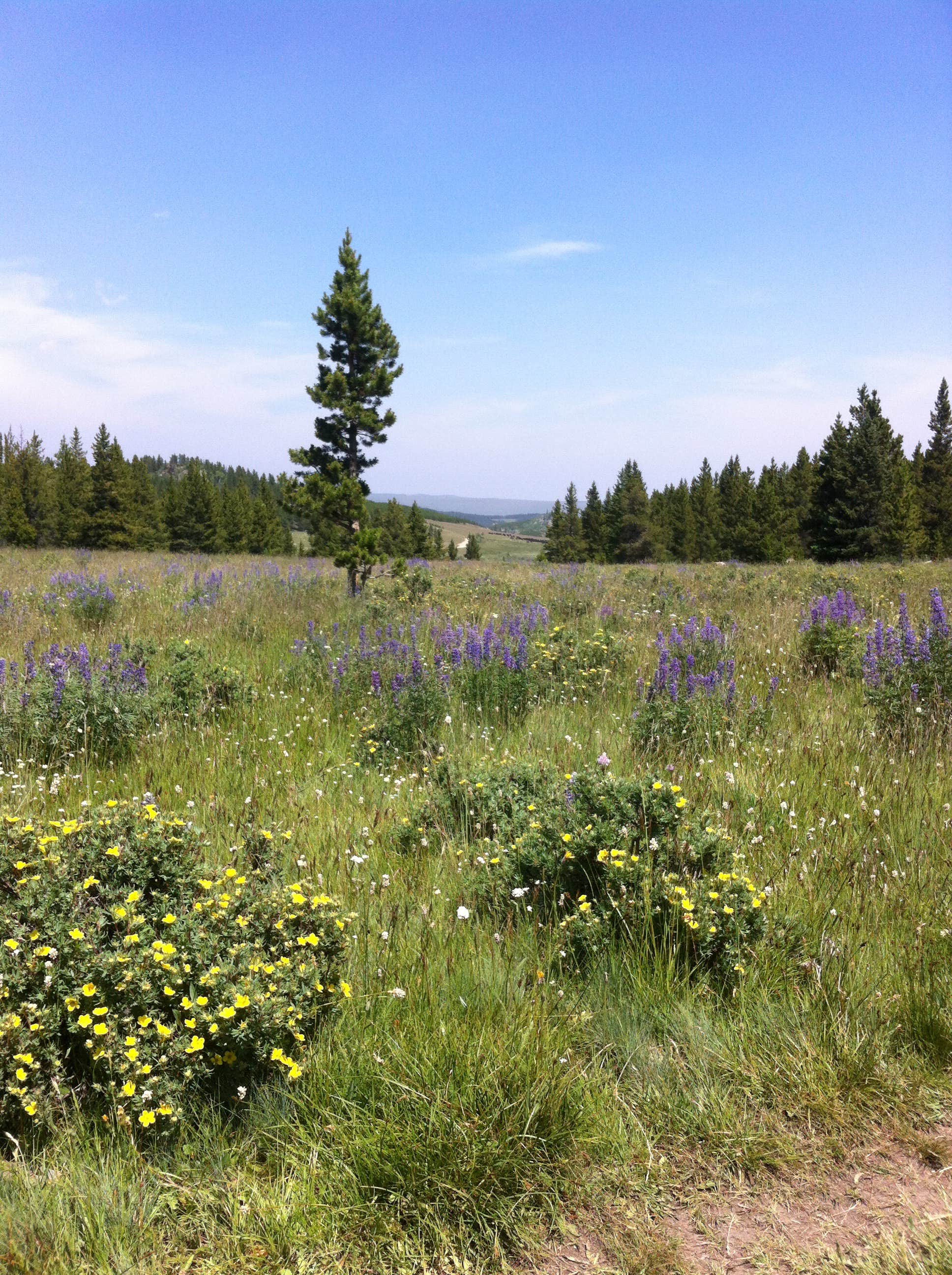 Camper submitted image from Circle Park Campground - 2