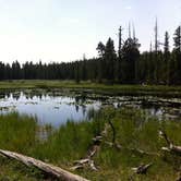 Review photo of Circle Park Campground by Annie C., June 29, 2017