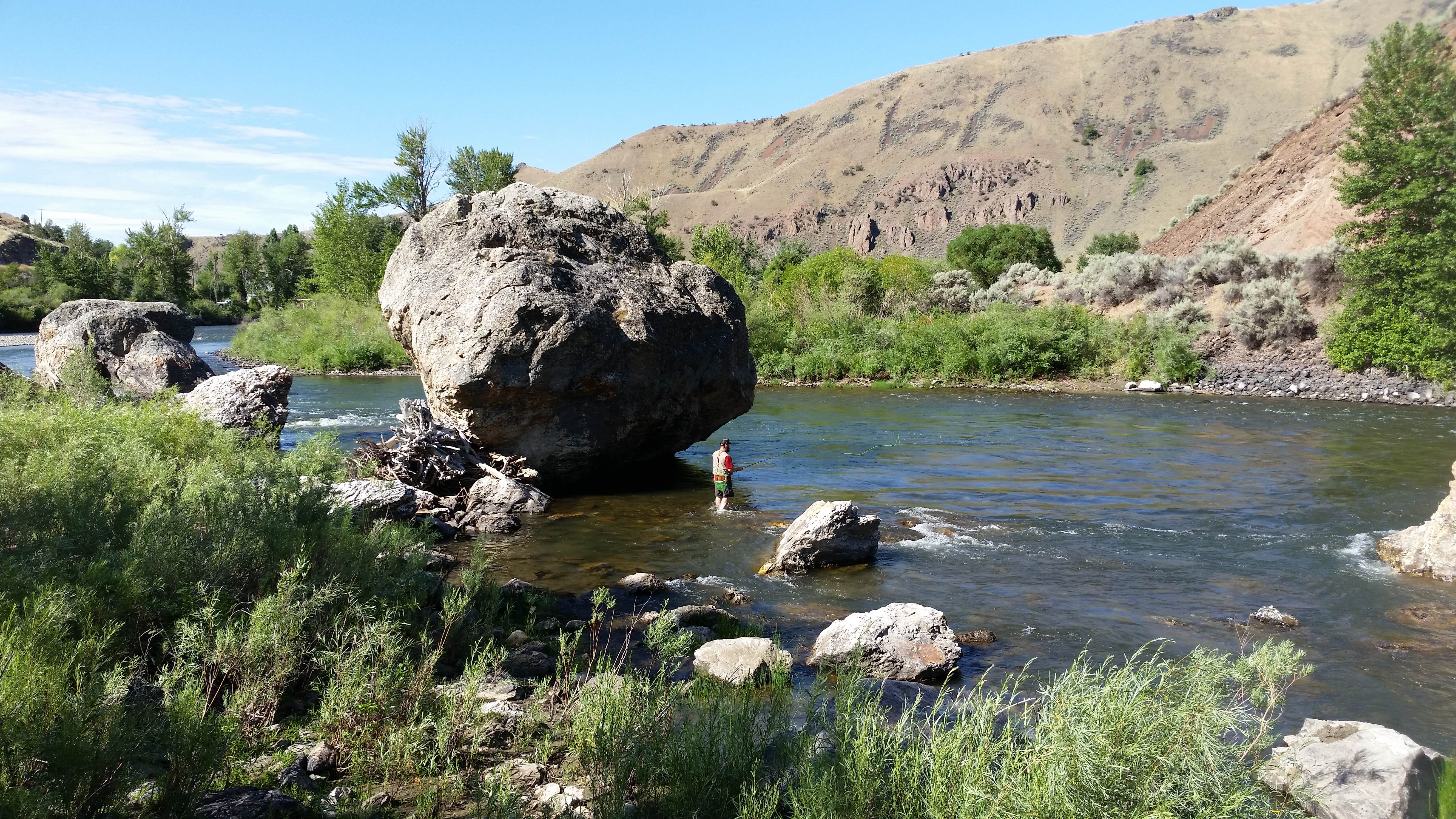 Camper submitted image from Salmon River Campground - 5