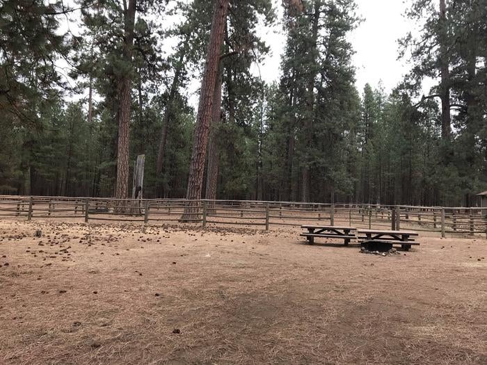 Camper submitted image from Graham Corral Horse Camp - 5