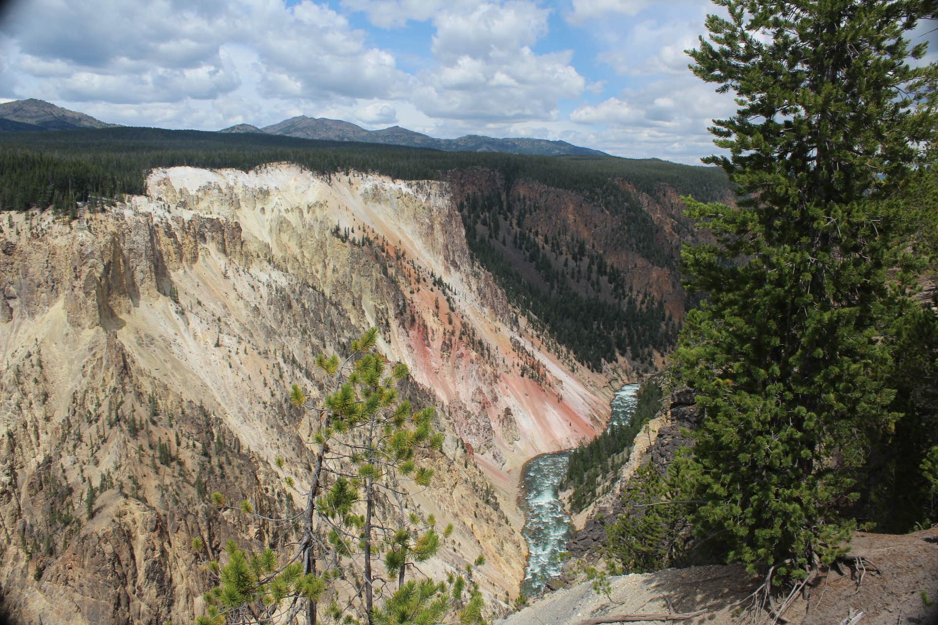 Camper-submitted photo at Bakers Hole Campground near Yellowstone National Park