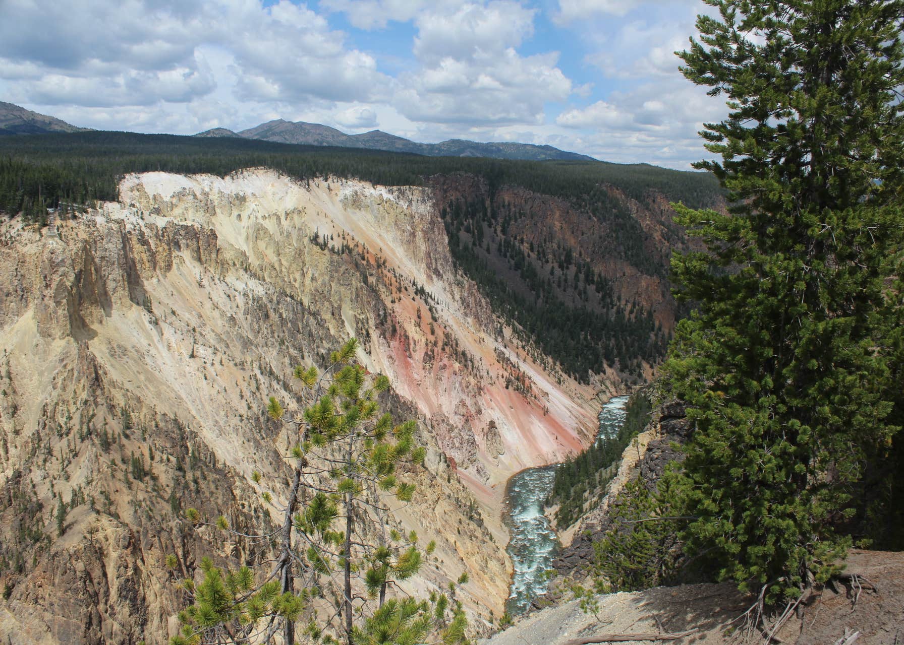 Bakers Hole Campground Camping The Dyrt