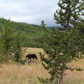 Review photo of Palisades Campground by Annie C., June 29, 2017