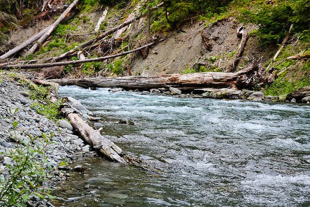Camper-submitted photo at Camp Pleasant — Olympic National Park near Lilliwaup, WA