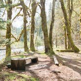 Review photo of Camp Pleasant — Olympic National Park by Joshua L., June 30, 2017