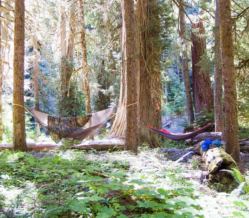 Camping near Enchanted Valley — Olympic National Park: Camp Pleasant — Olympic National Park, Olympic National Forest, Washington