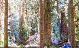 Camping near Pyrites Creek — Olympic National Park: Camp Pleasant — Olympic National Park, Olympic National Forest, Washington