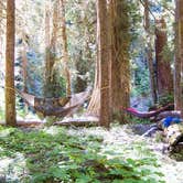 Review photo of Camp Pleasant — Olympic National Park by Joshua L., June 30, 2017