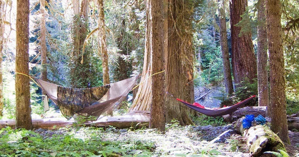 Camp Pleasant — Olympic National Park