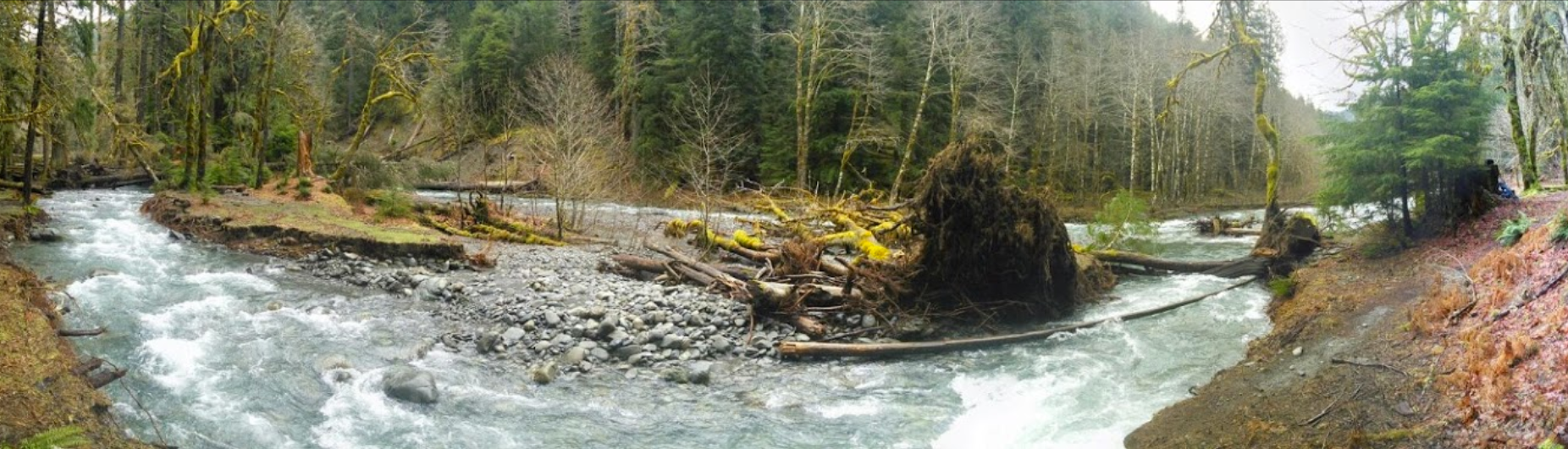 Camper submitted image from Camp Pleasant — Olympic National Park - 4
