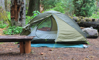 Joshua L.'s photo of tent camping at Camp Pleasant — Olympic National Park near Olympia, WA
