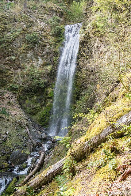 Camper-submitted photo at Camp Pleasant — Olympic National Park near Lilliwaup, WA