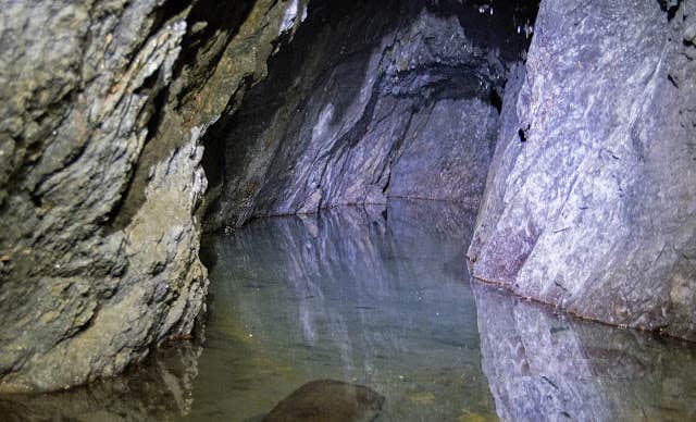 Camper-submitted photo at Camp Pleasant — Olympic National Park near Lilliwaup, WA