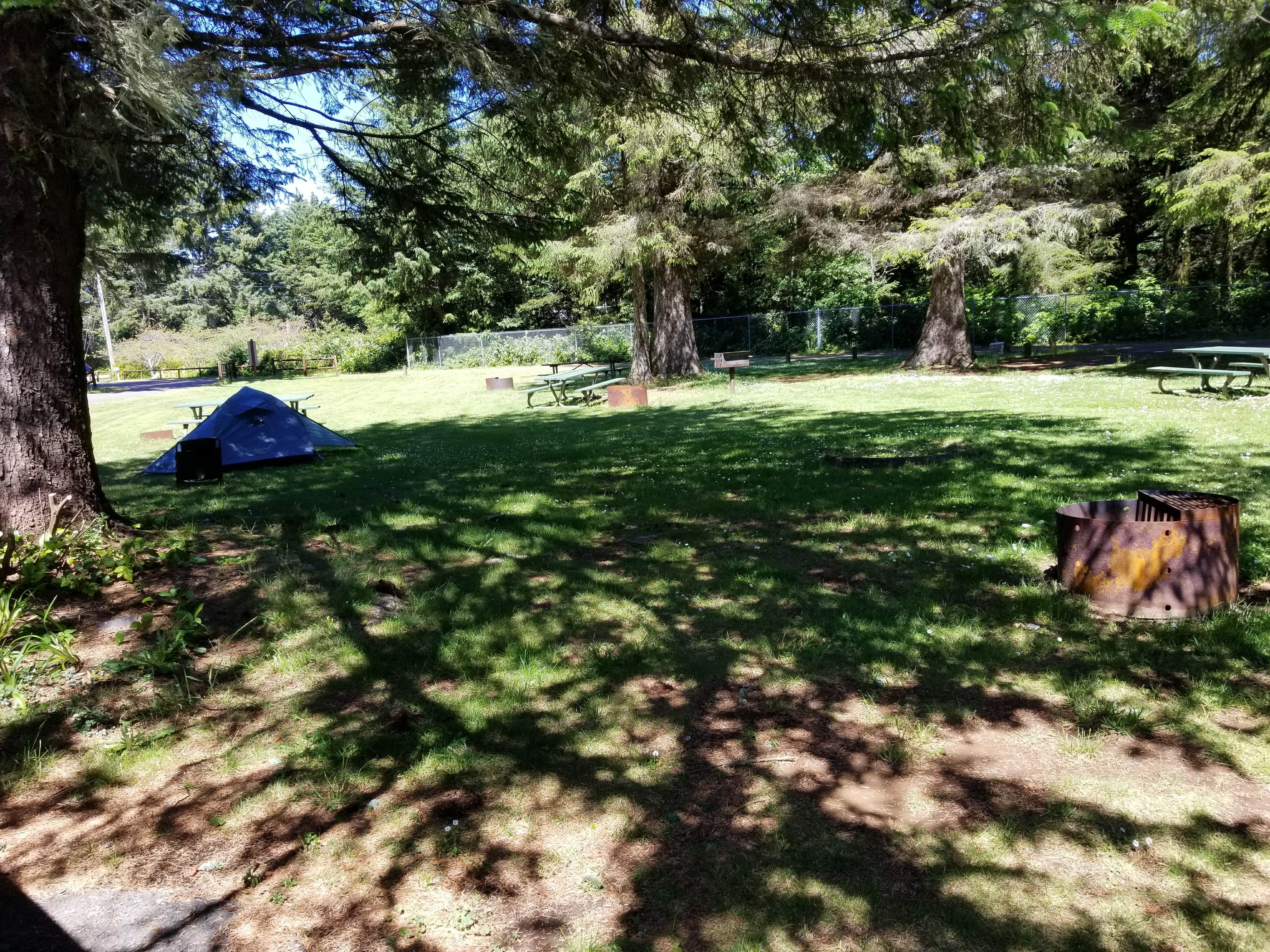 Tim W.'s photo at Boice-Cope Campground near Myrtle Point, OR