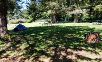 Tim W.'s photo at Boice-Cope Campground near Myrtle Point, OR
