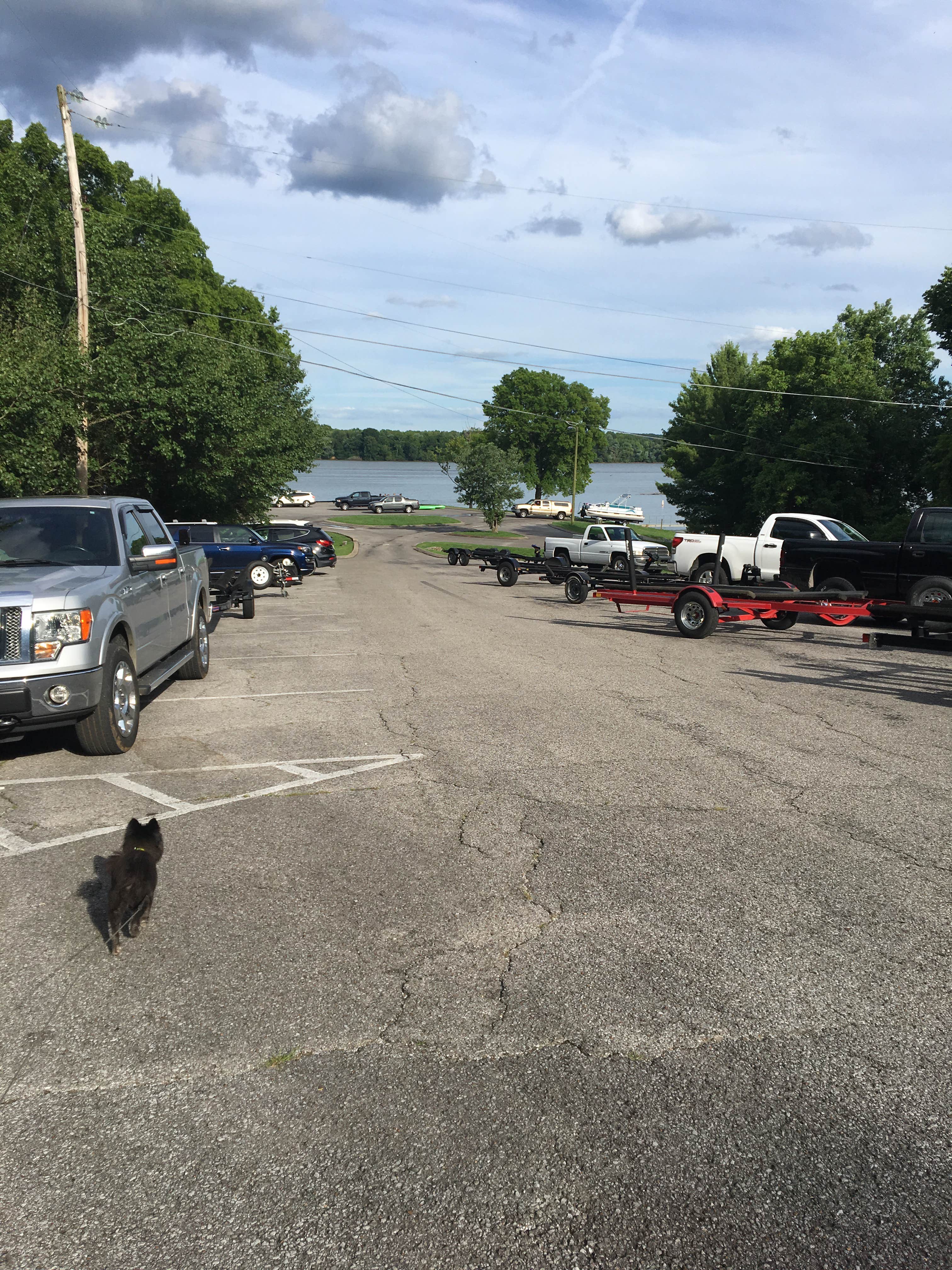Camper submitted image from Cages Bend - 4