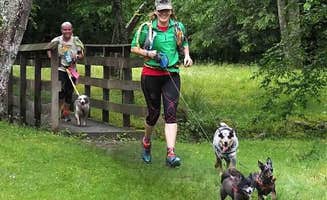 Shelly S.'s photo of camping with pets at Kanawha State Forest in West Virginia