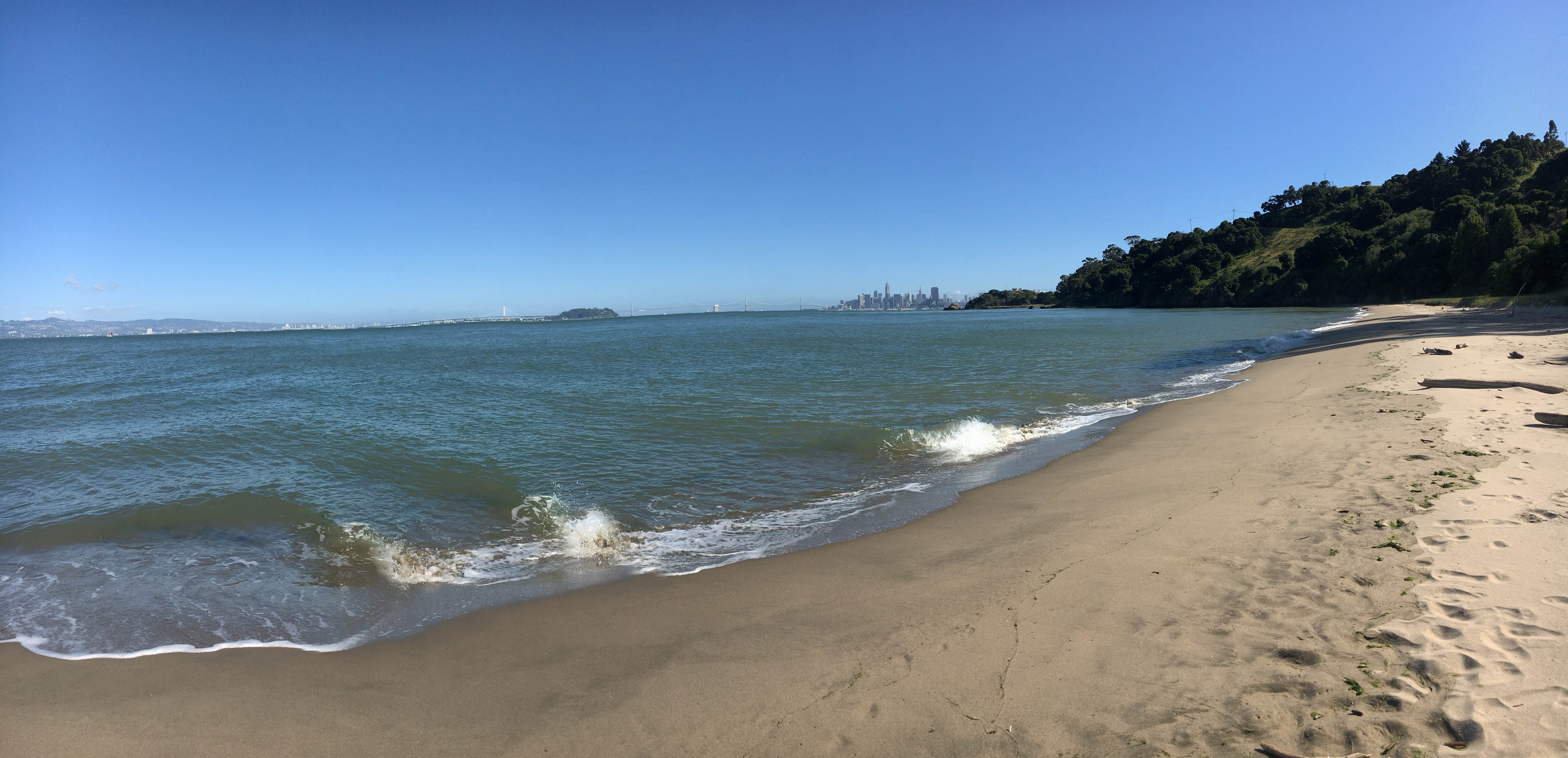 Camper submitted image from Sunrise Campground — Angel Island State Park - 2
