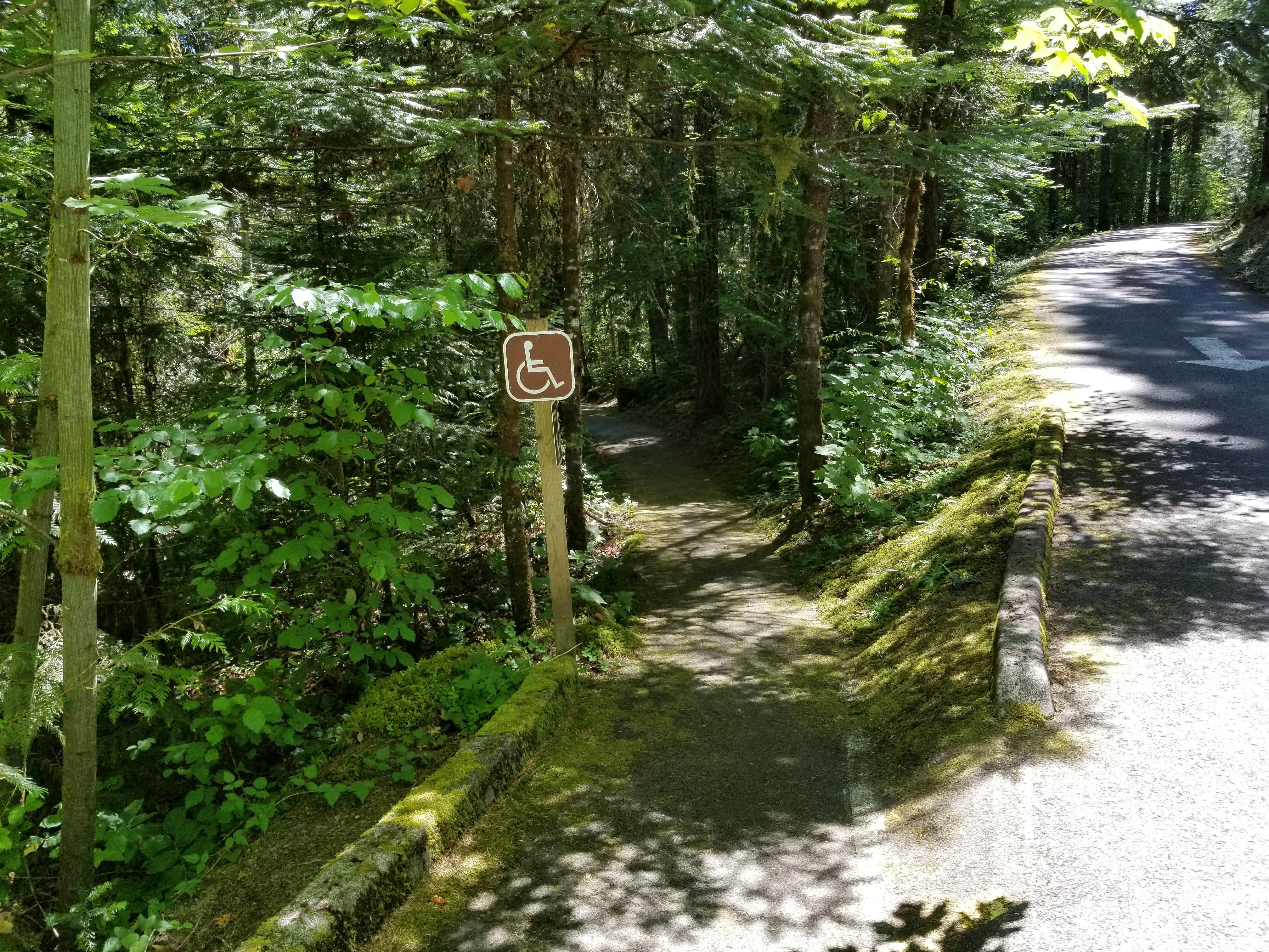 Camper submitted image from Cavitt Creek Falls - 4