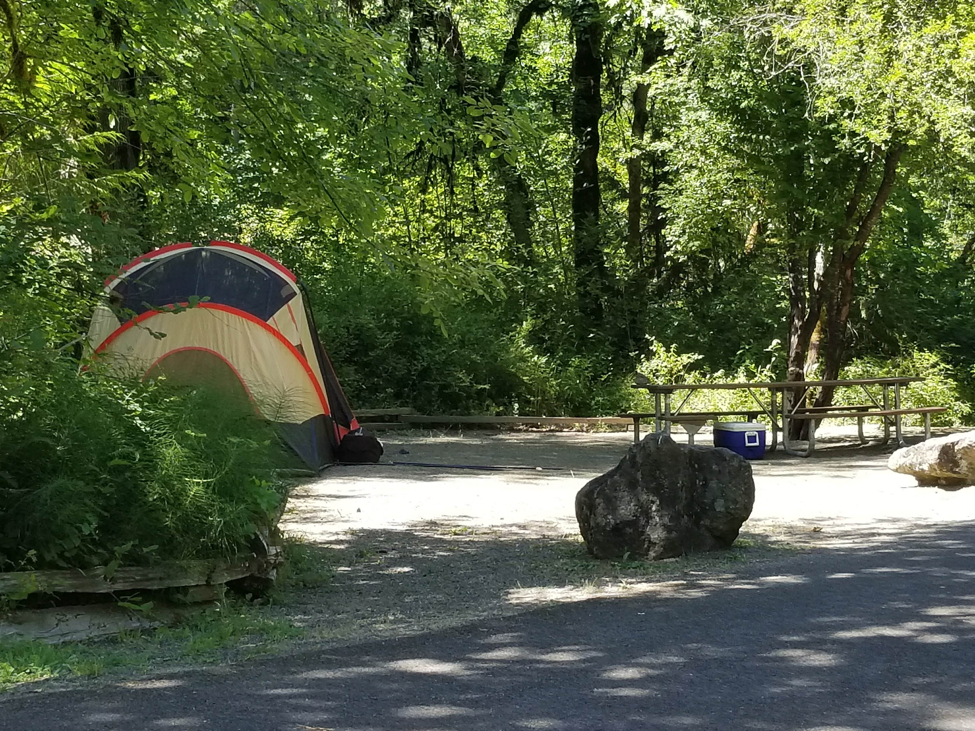 Camper submitted image from Cavitt Creek Falls - 2