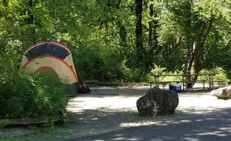 Tim W.'s photo at Cavitt Creek Falls near Myrtle Creek, OR