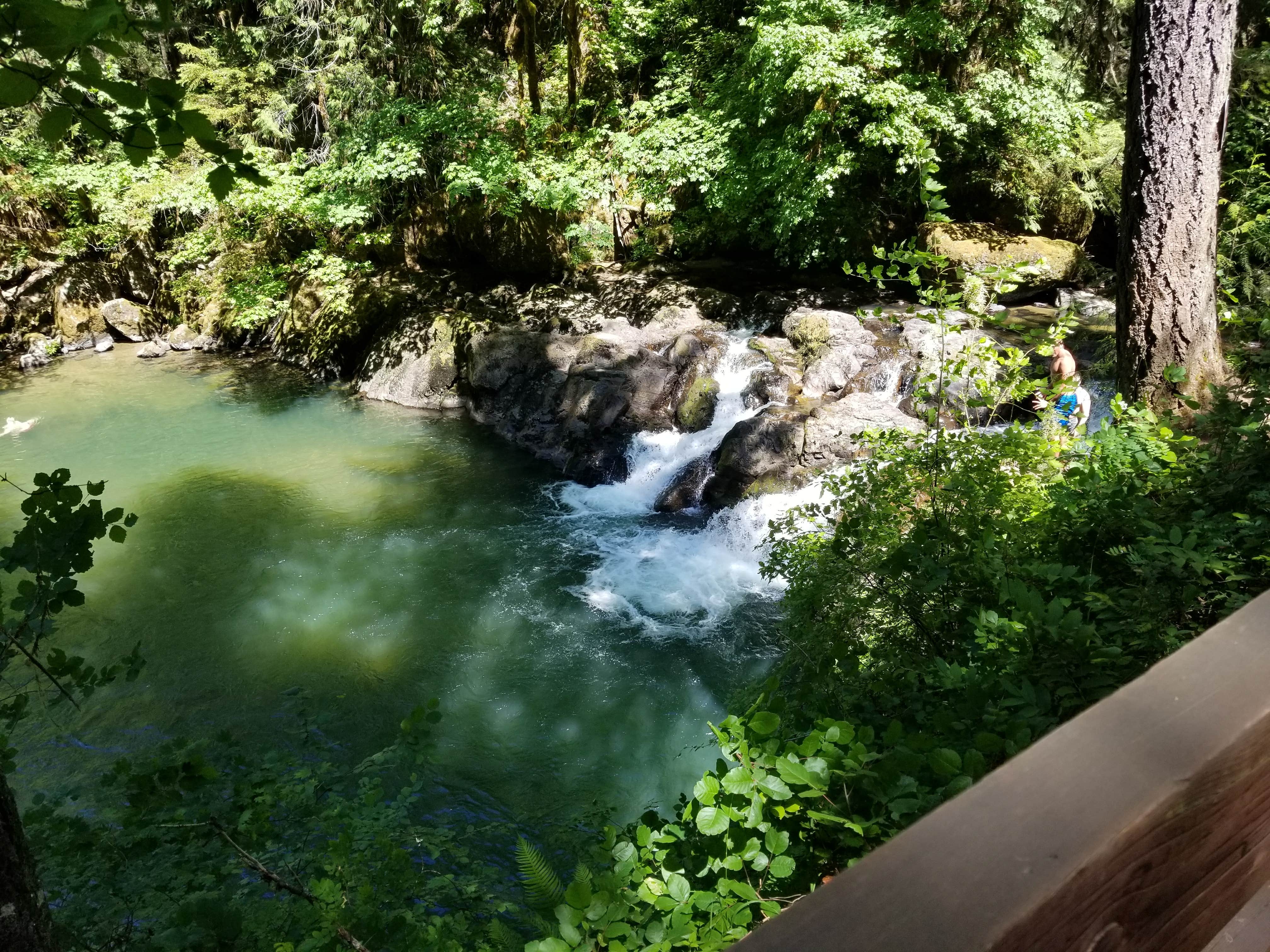 Camper submitted image from Cavitt Creek Falls - 3