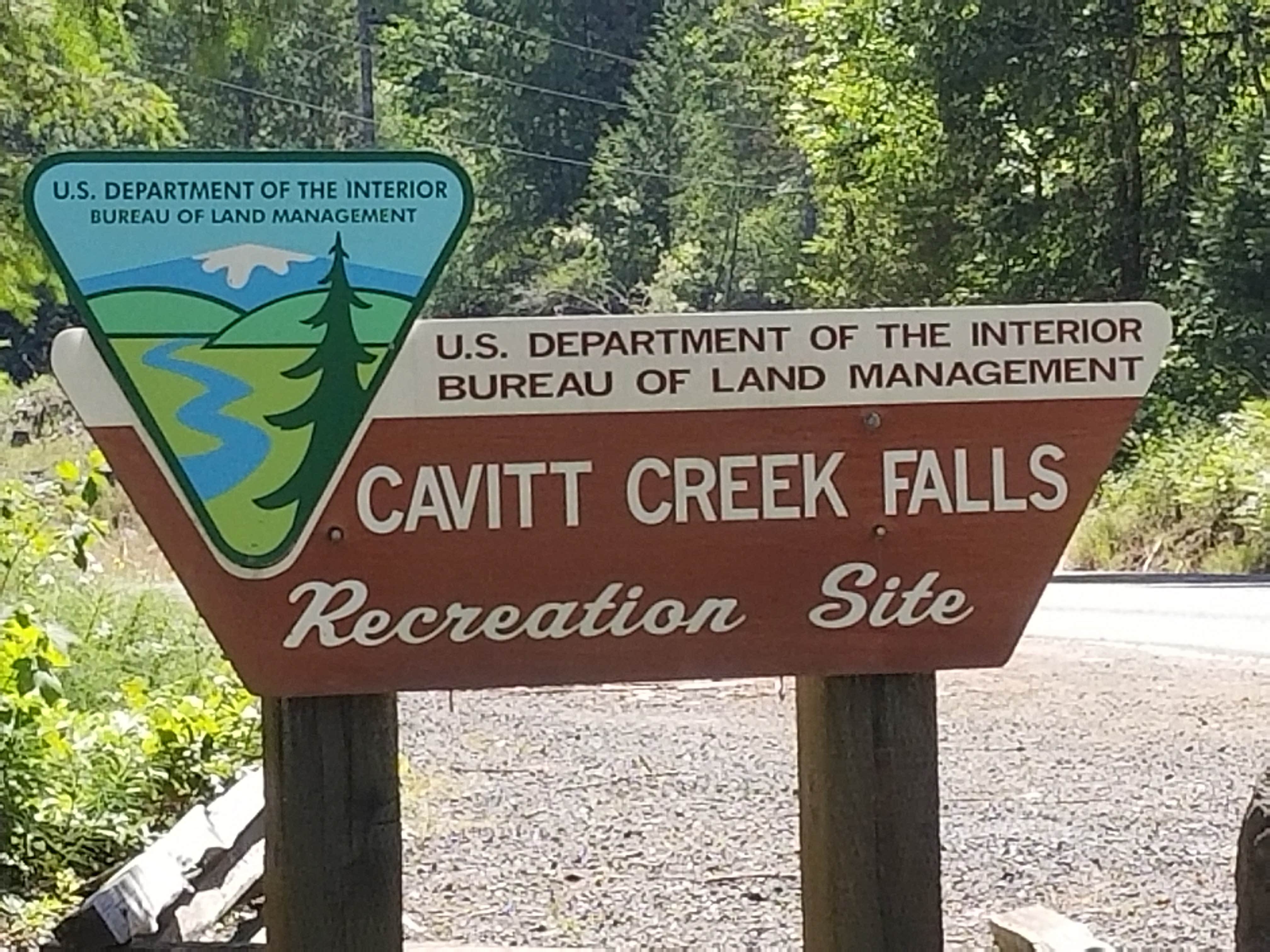 Camper submitted image from Cavitt Creek Falls - 3