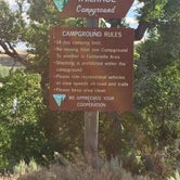 Review photo of Tail Race Campground by Carrie C., June 30, 2017
