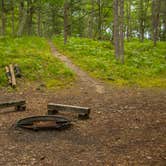 Review photo of White Pine Backcountry Camp — Sleeping Bear Dunes National Lakeshore by Shari  G., June 30, 2017