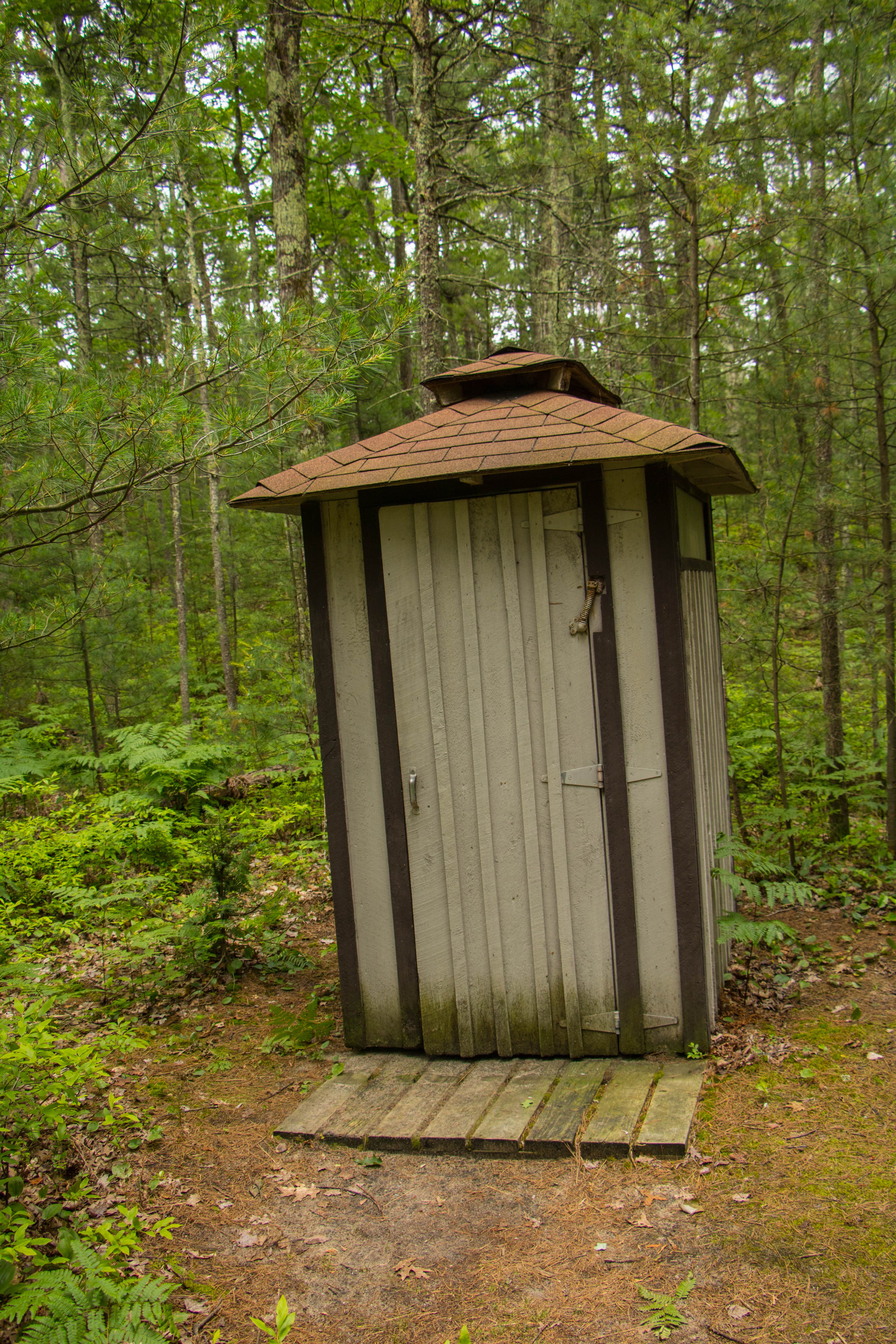 Camper submitted image from White Pine Backcountry Camp — Sleeping Bear Dunes National Lakeshore - 5