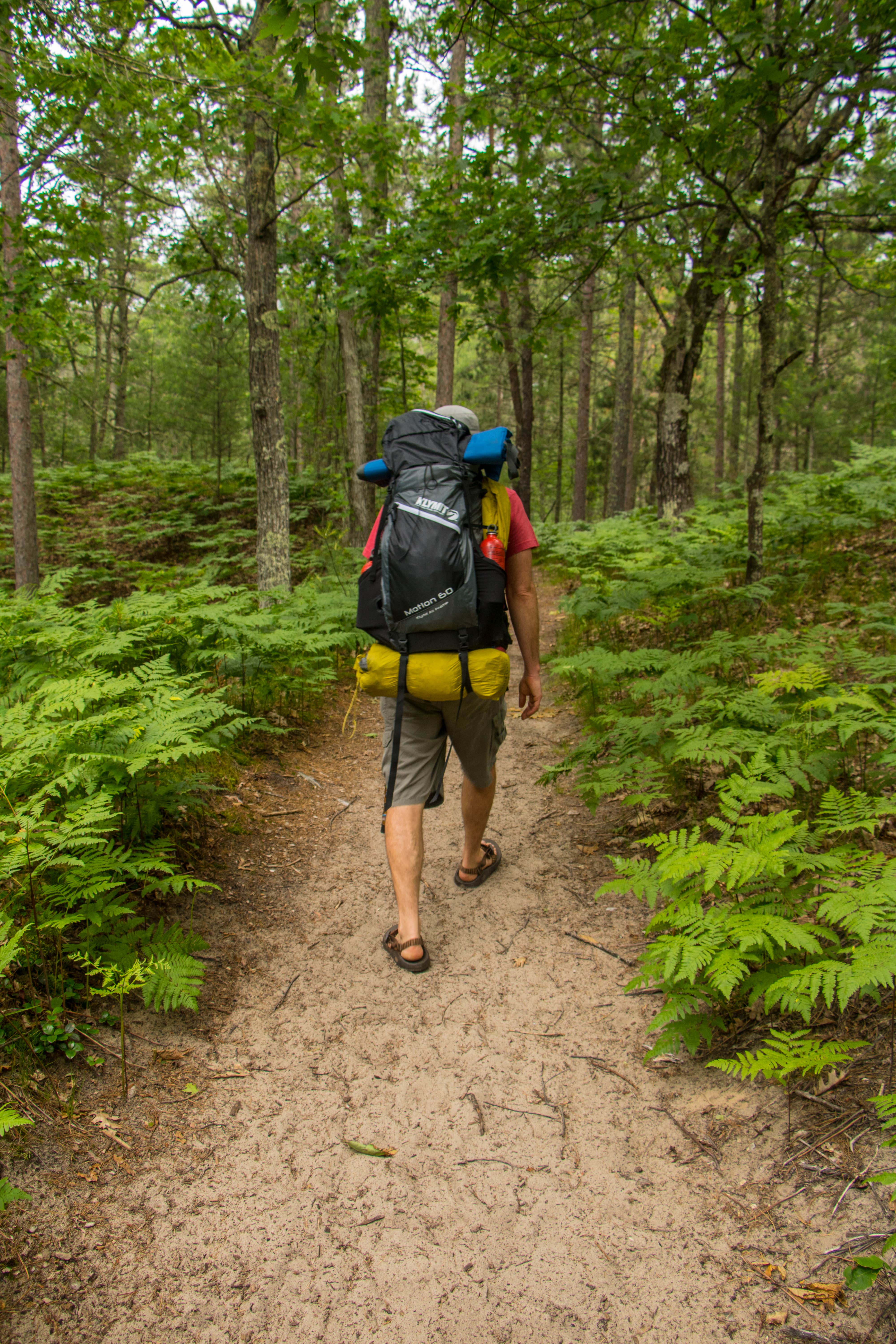 Camper submitted image from White Pine Backcountry Camp — Sleeping Bear Dunes National Lakeshore - 3