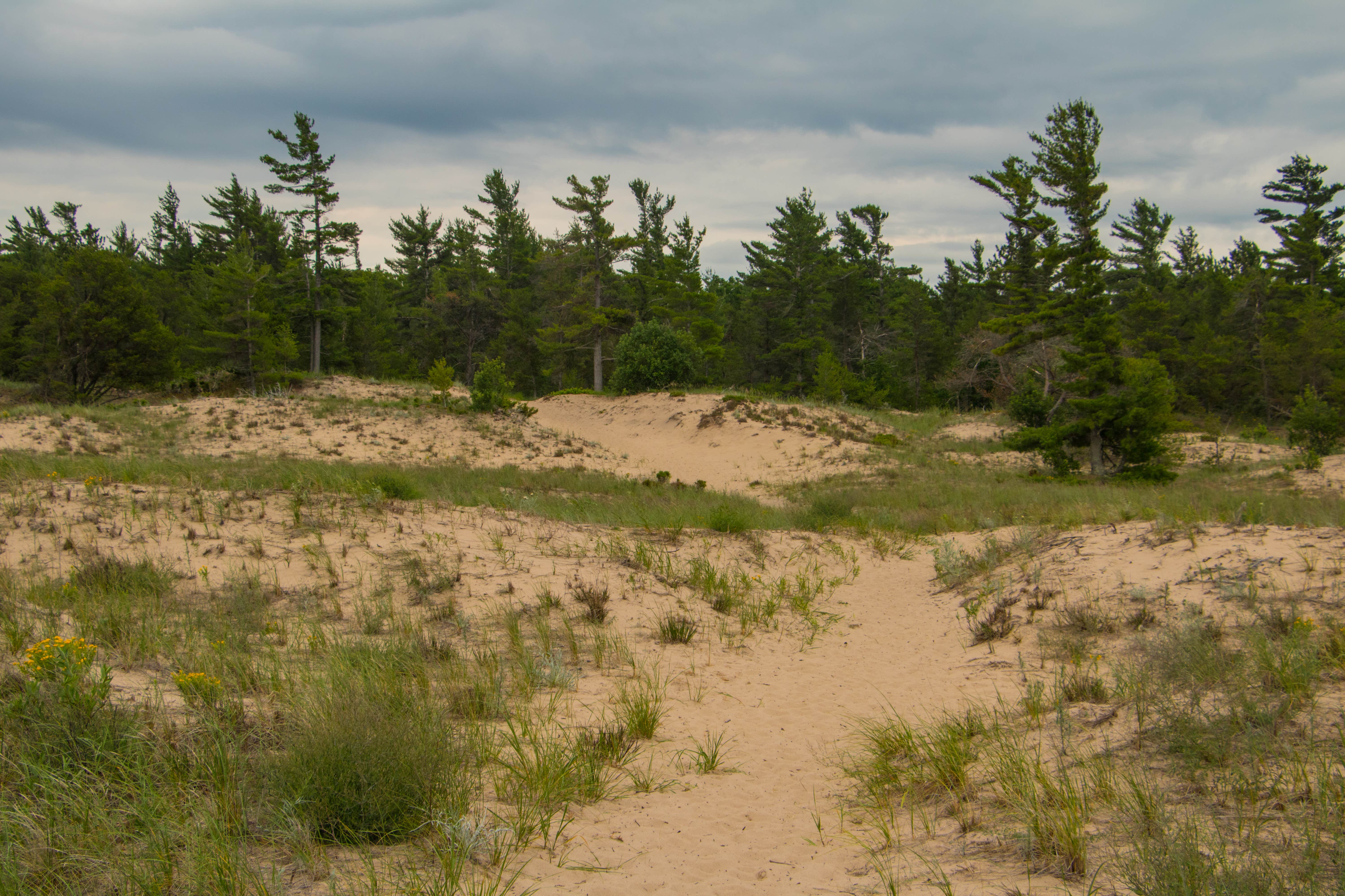 Camper-submitted photo at White Pine Backcountry Camp — Sleeping Bear Dunes National Lakeshore near Maple City, MI