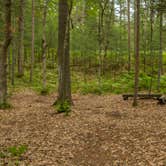 Review photo of White Pine Backcountry Camp — Sleeping Bear Dunes National Lakeshore by Shari  G., June 30, 2017