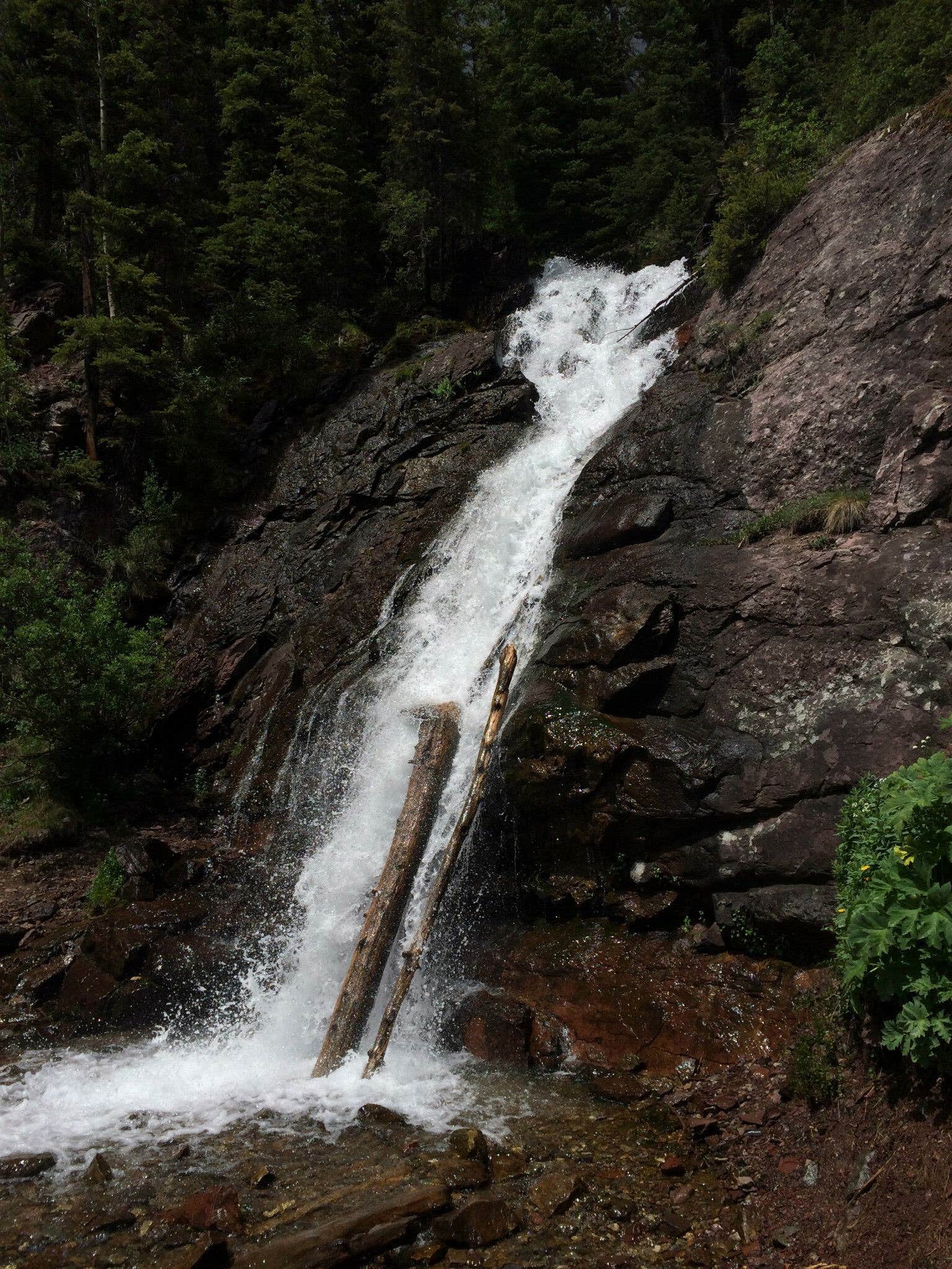 Camper submitted image from South Mineral Campground — San Juan National Forest - 2