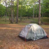 Review photo of Wildwood State Park Campground by Michael K., June 23, 2016