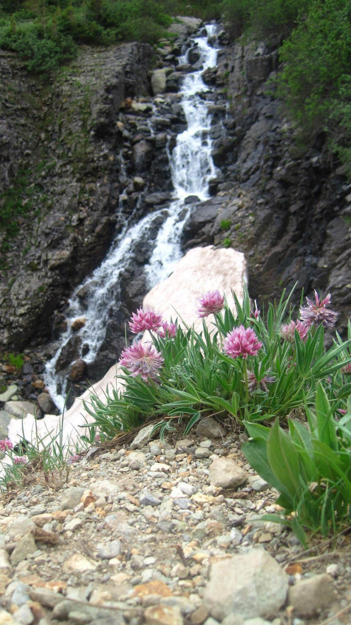 Camper-submitted photo at South Mineral Campground — San Juan National Forest near Ophir, CO