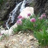 Review photo of South Mineral Campground — San Juan National Forest by Madison G., June 30, 2017