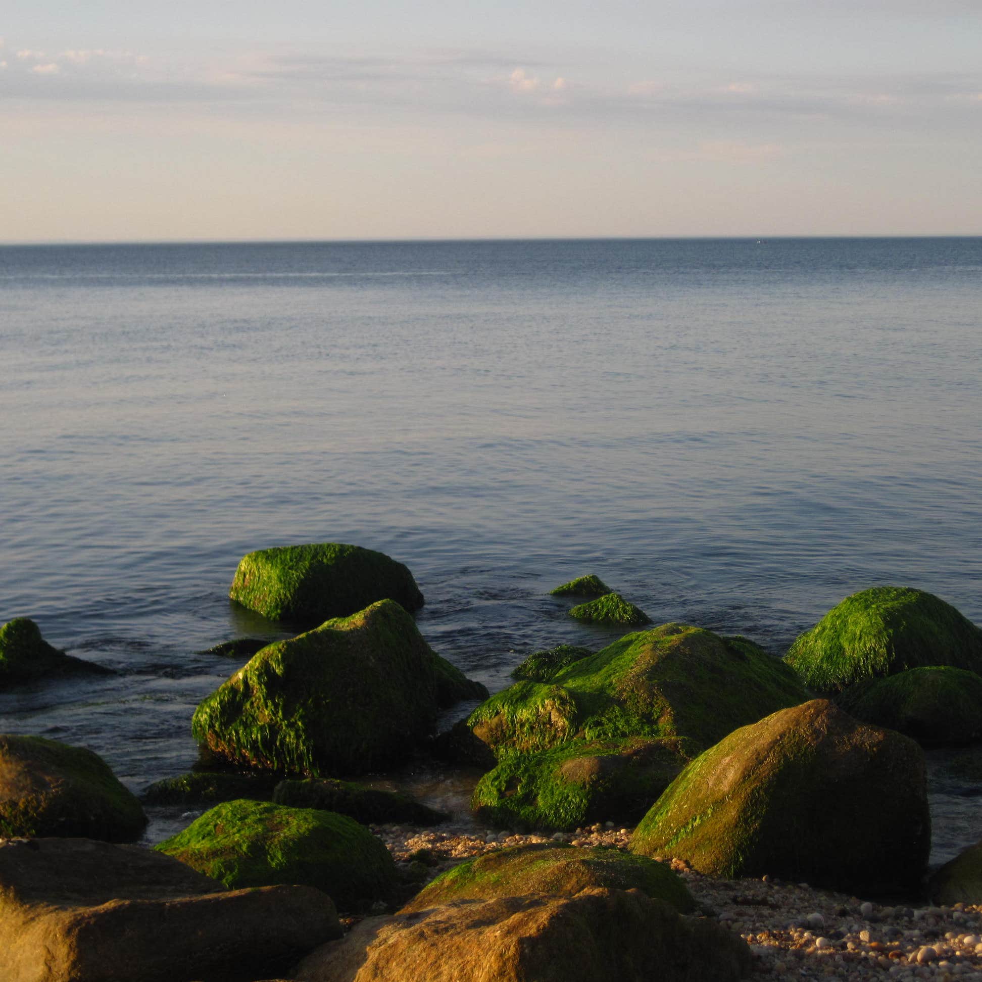 Wildwood State Park Camping | The Dyrt